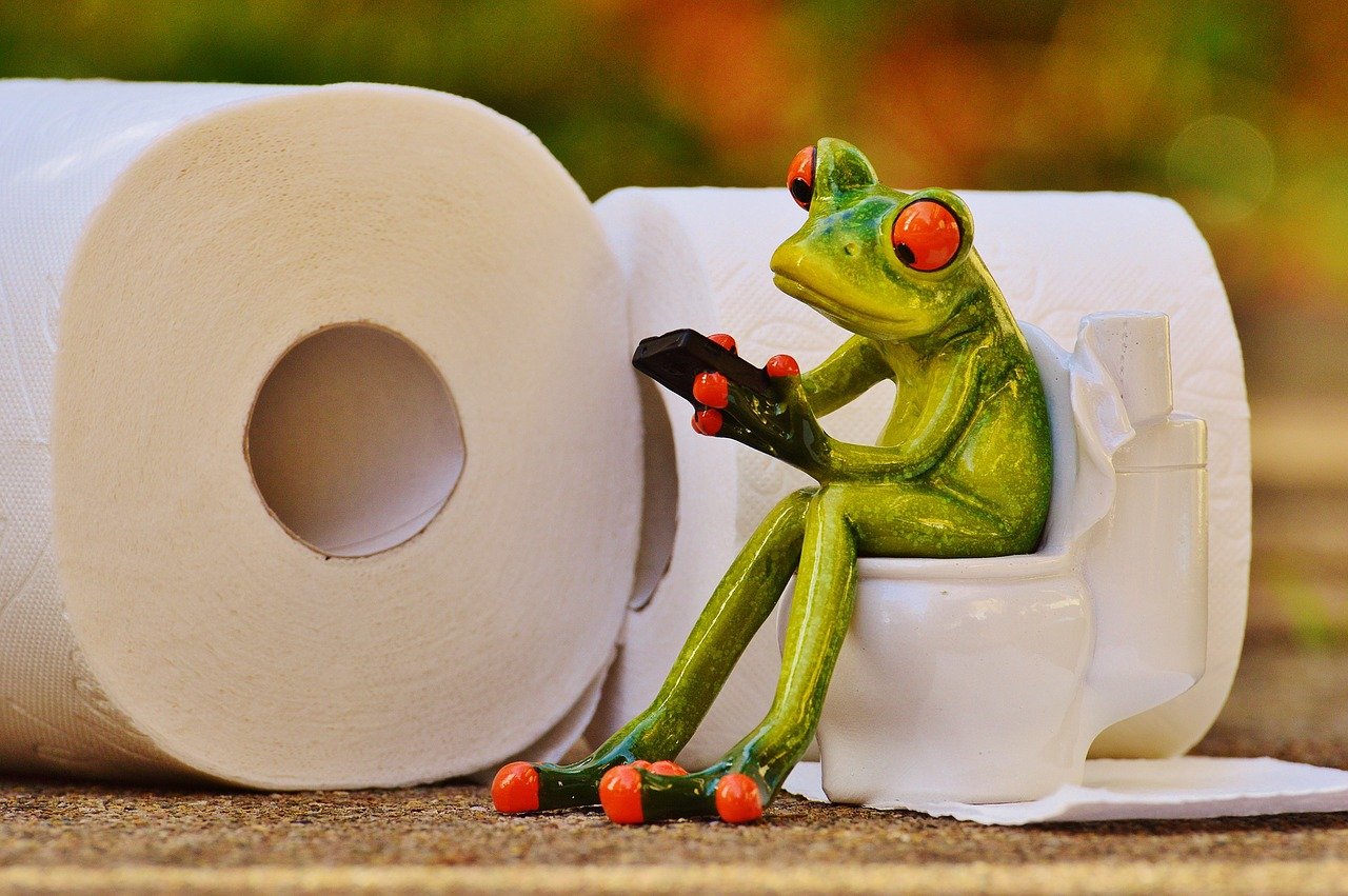 frog on toilet