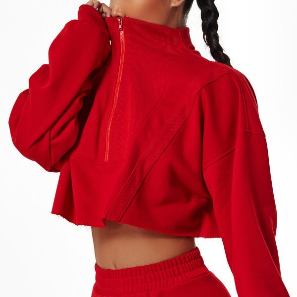 Loose Fitting Long Sleeve Sports Crop Top